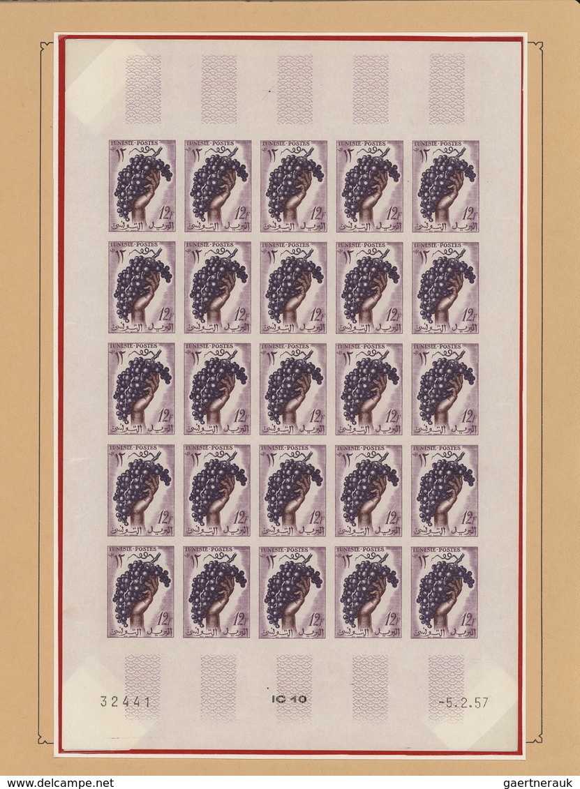 24288 Tunesien: 1957/1963, extraordinary mint collection of apprx. 2.600 IMPERFORATE stamps within large u