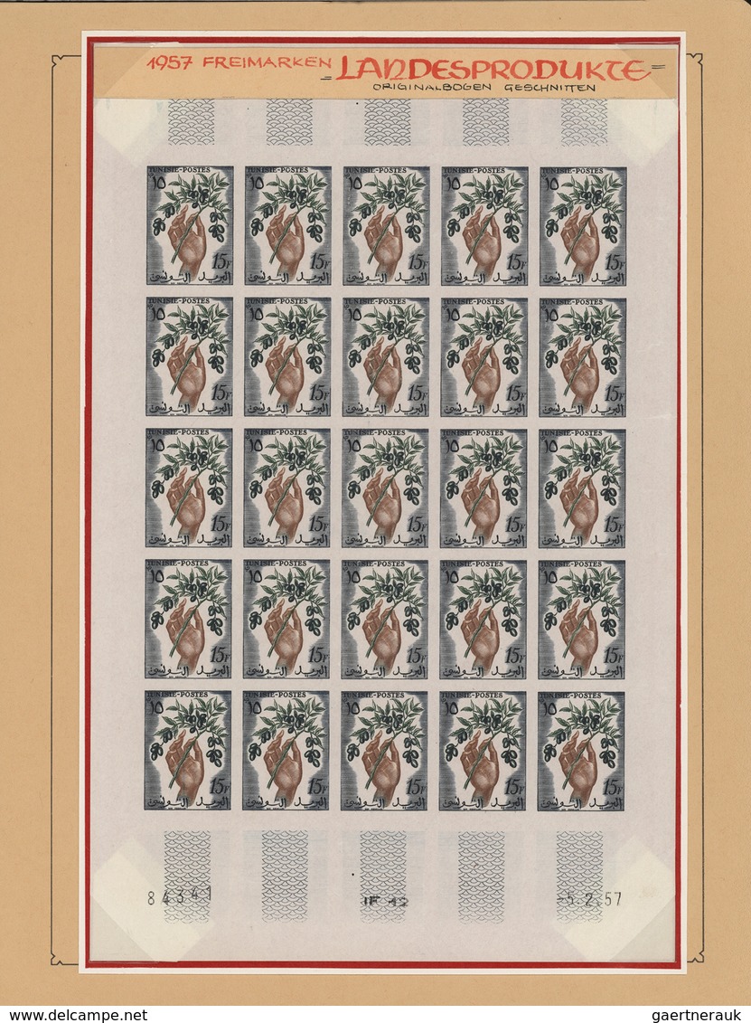 24288 Tunesien: 1957/1963, extraordinary mint collection of apprx. 2.600 IMPERFORATE stamps within large u