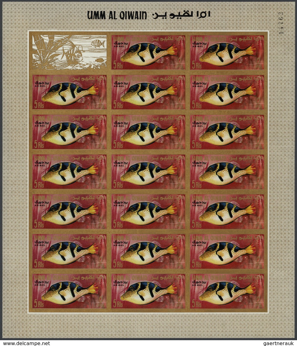 24301 Umm Al Qaiwain: 1967, Fishes Of The Persian Gulf, Complete Set Of 27 Values Perf. And Imperf. In COM - Umm Al-Qiwain