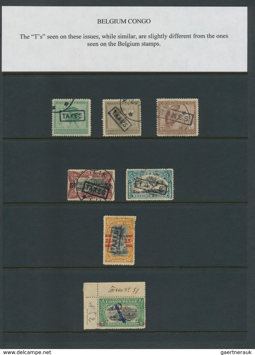 24520 Alle Welt: 1890/1960 (ca.) A scarce worldwide POSTAGE DUE / TAX exhibition-collection in three album