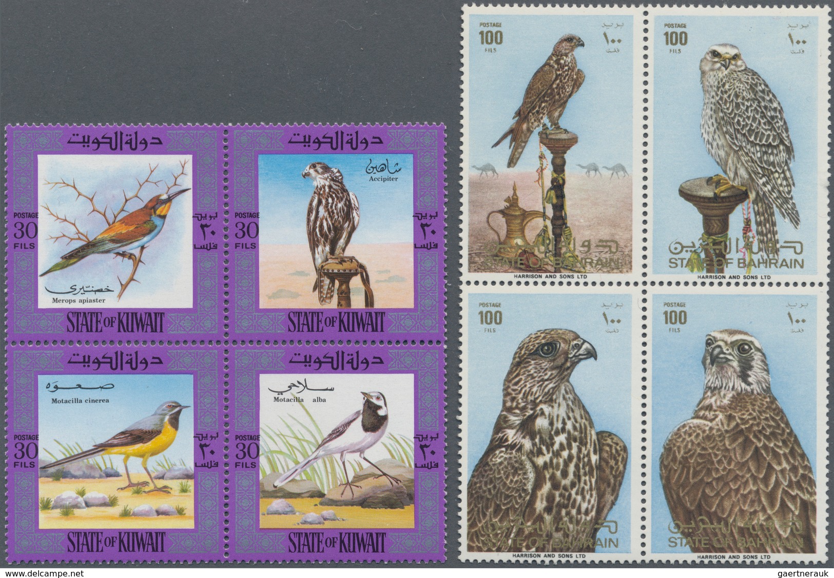 24697 Naher Osten: 1937/1970 (ca.), Duplicates From Bahrain, Kuwait, Aden, Sharjah And Umm-al-Qiwain In Fi - Sonstige & Ohne Zuordnung