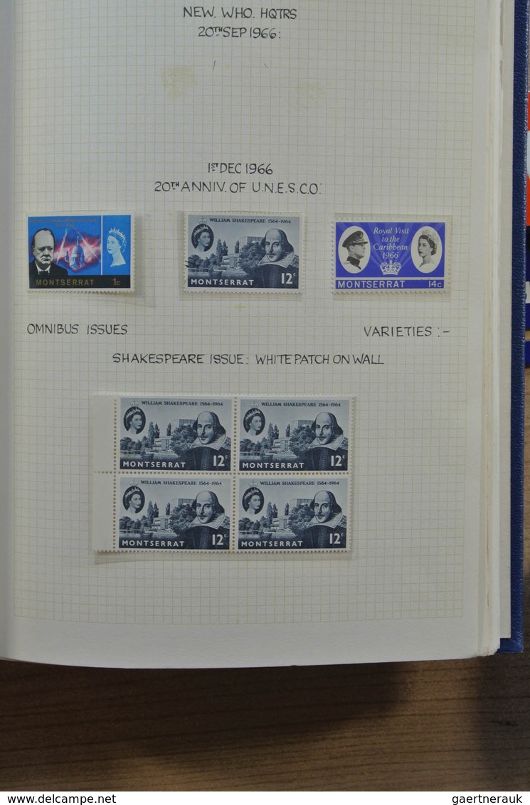 24733 Britische Kolonien: Small blanc album with various MNH and mint hinged definitive sets of various Br