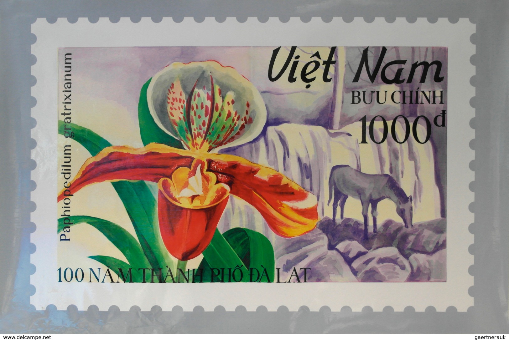 24914 Thematische Philatelie: 1970's-90's Vietnam: Group Of Eleven Enlarged Photographs Of The Original Ha - Non Classés