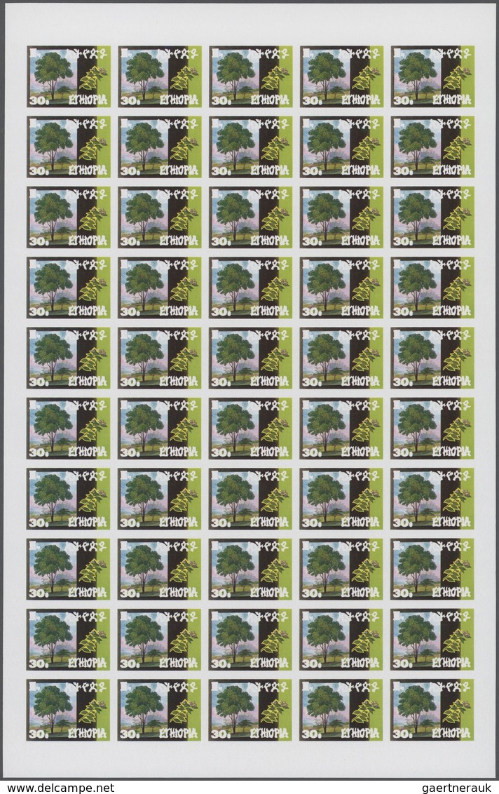 24987 Thematik: Bäume / Trees: 1986, Ethiopia. Progressive Proofs Set Of Sheets For The Issue INDIGENOUS T - Arbres