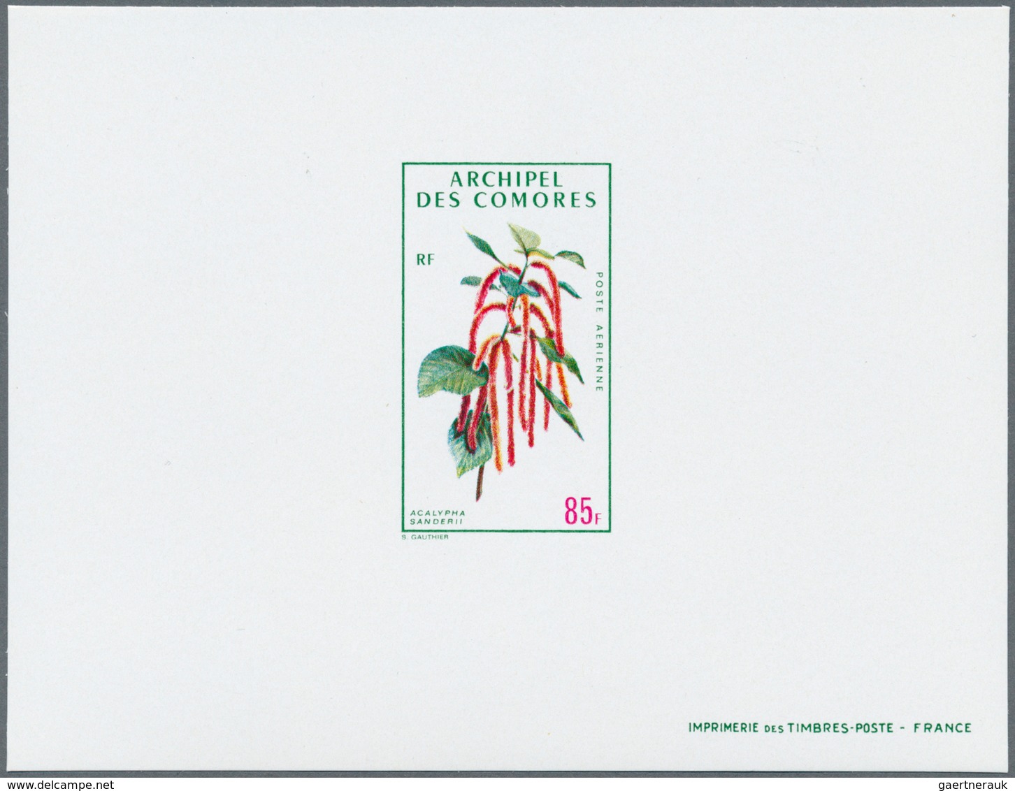 25057 Thematik: Flora, Botanik / Flora, Botany, Bloom: 1960/1990 (ca.), Assortment Of 95 Positions Incl. S - Autres & Non Classés