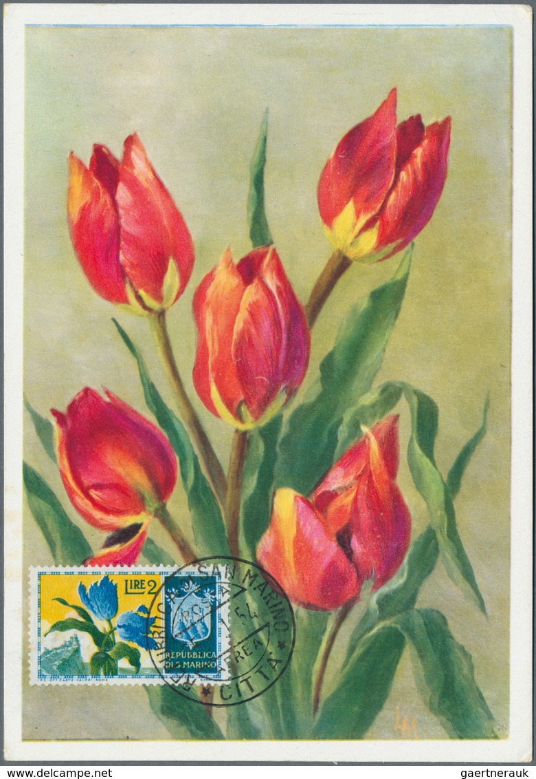 25058 Thematik: Flora, Botanik / Flora, Botany, Bloom: 1960/2000 (ca.), Assortment Of 92 Positions Incl. S - Autres & Non Classés