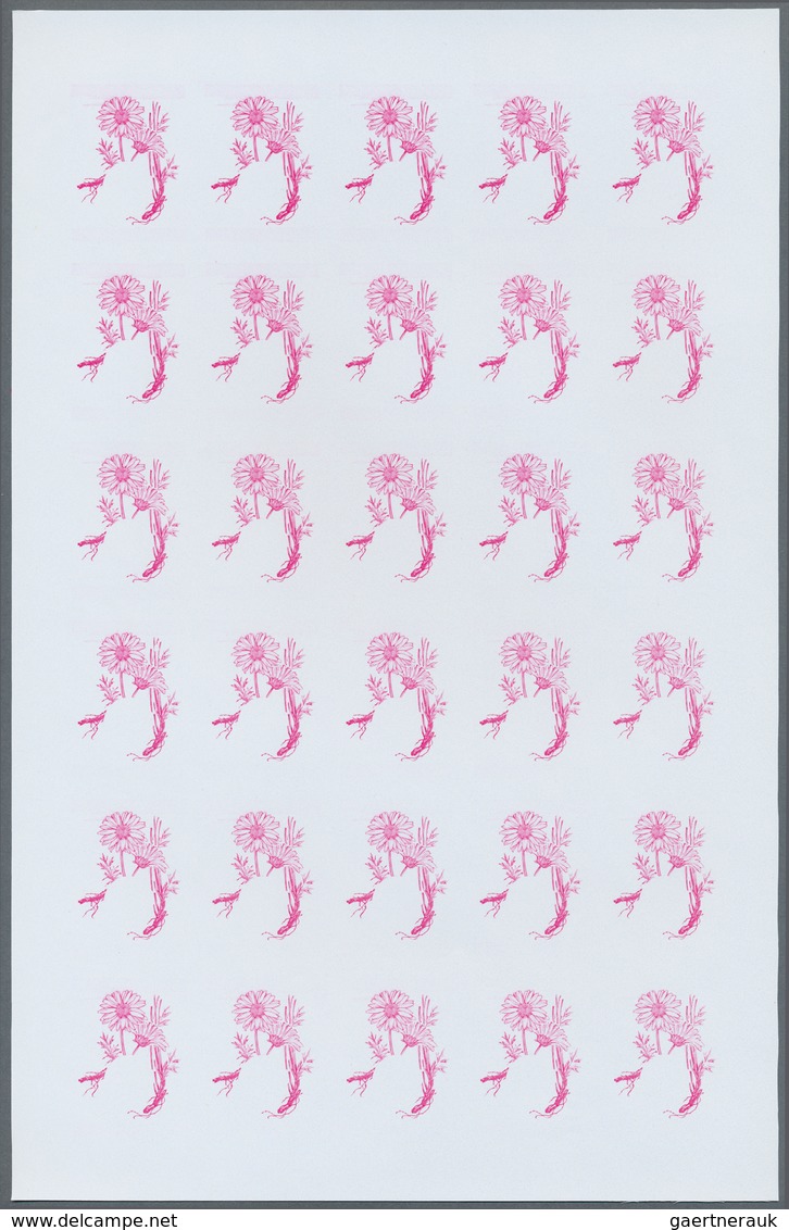 25066 Thematik: Flora, Botanik / flora, botany, bloom: 1969, Rwanda. Progressive proofs set of sheets for