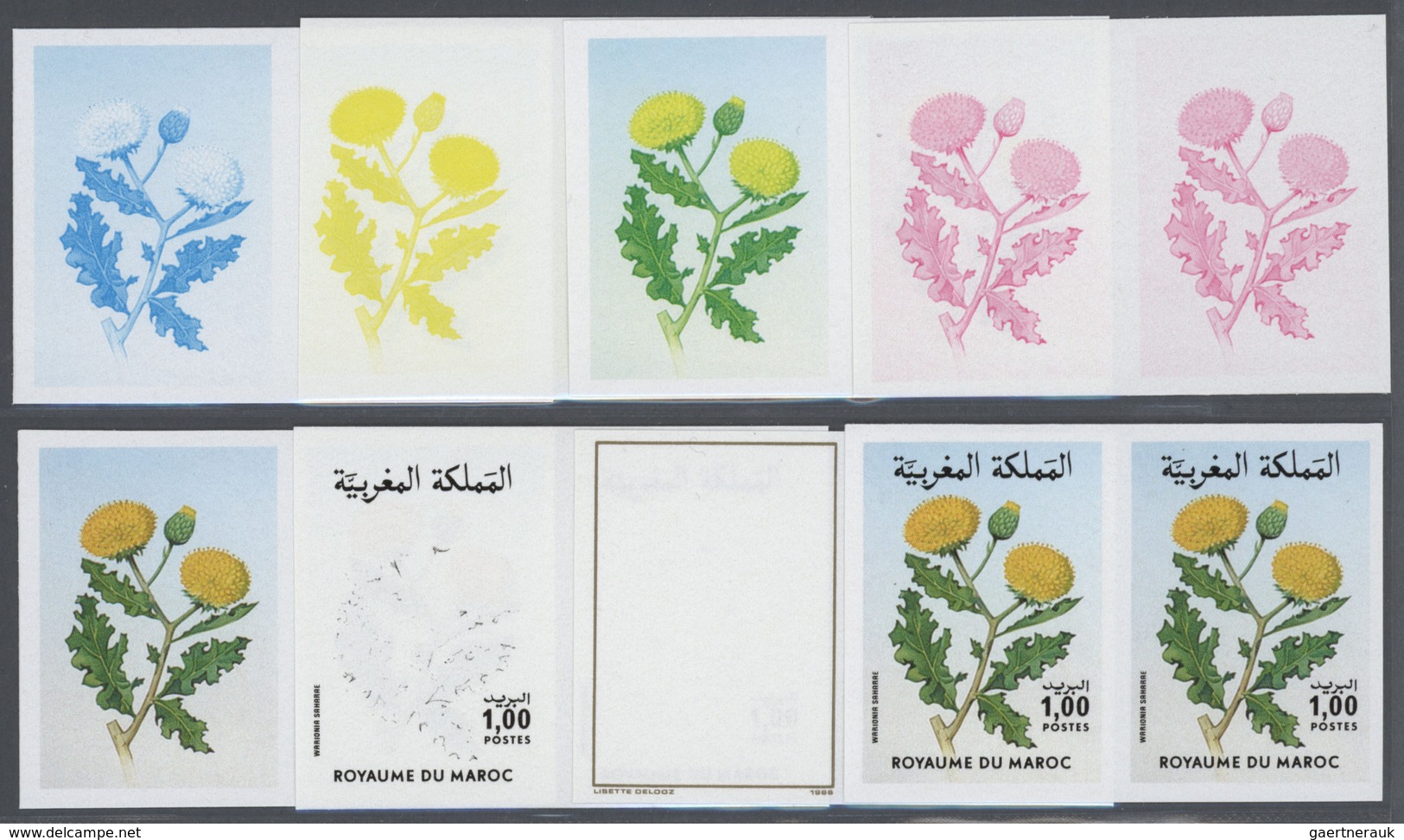 25075 Thematik: Flora, Botanik / Flora, Botany, Bloom: 1986, Morocco. Progressive Proofs (8 Phases) For Th - Autres & Non Classés