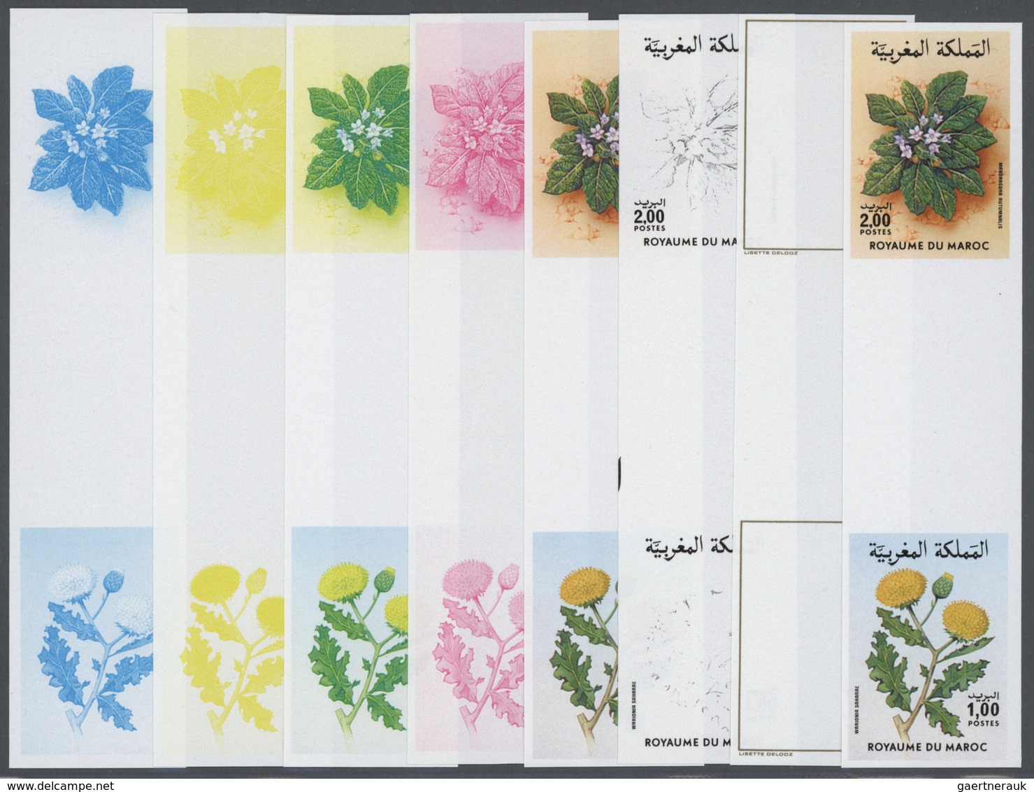 25077 Thematik: Flora, Botanik / Flora, Botany, Bloom: 1986, Morocco. Progressive Proofs (8 Phases) For Th - Autres & Non Classés
