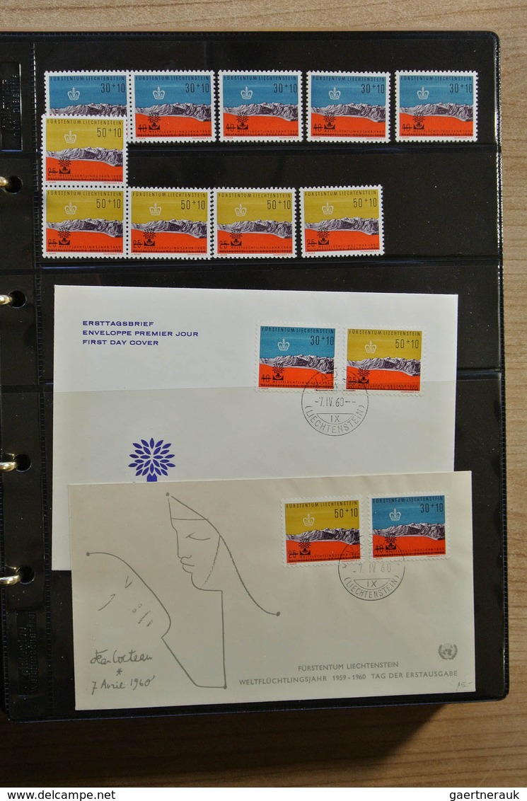 25123 Thematik: Intern. Organisationen / international organizations: Album with MNH sets and FDC's of var