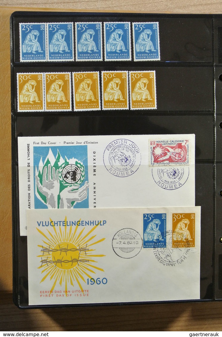 25123 Thematik: Intern. Organisationen / international organizations: Album with MNH sets and FDC's of var