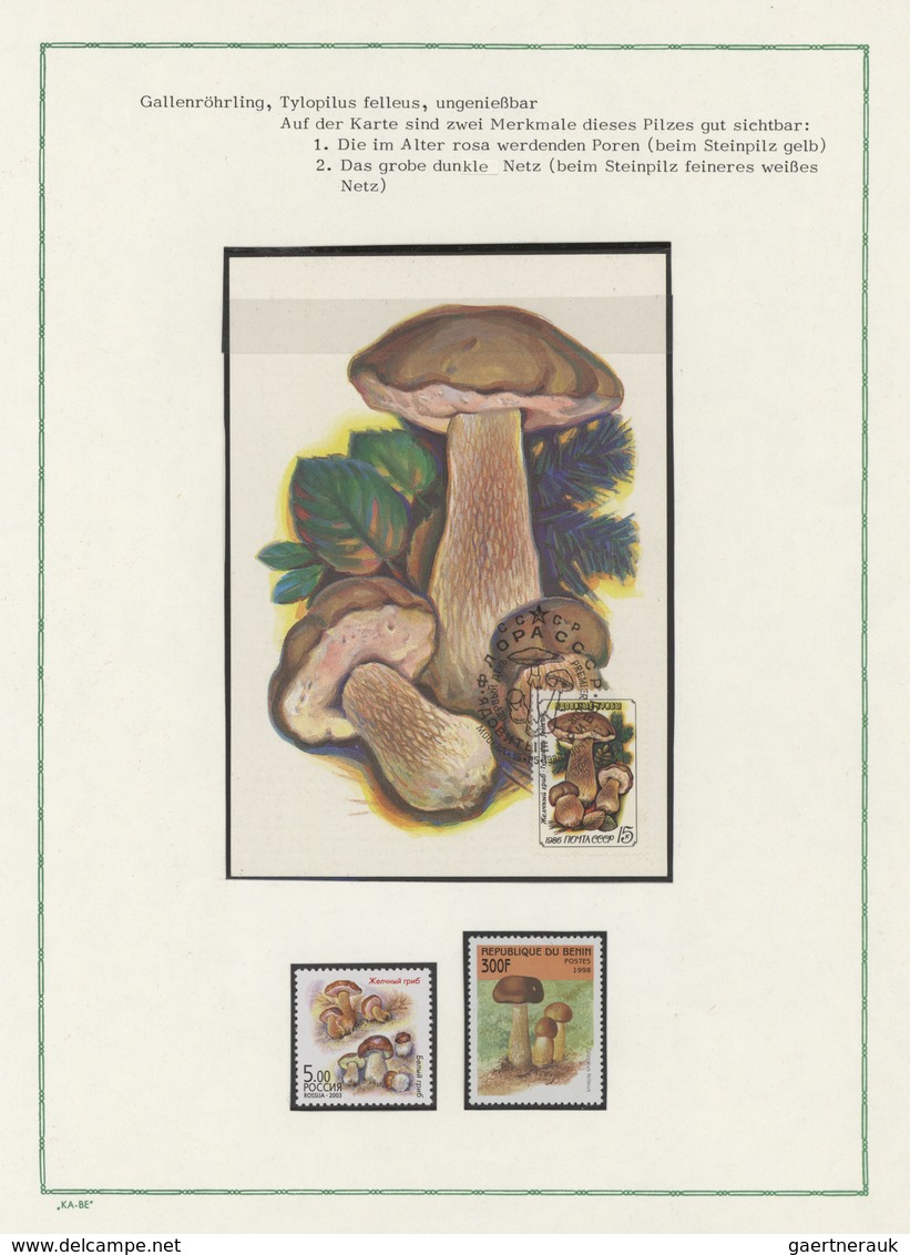 25420 Thematik: Pilze / mushrooms: 1950/2004 (approx), Europe/Overseas. Lot containing 2 interesting exhib