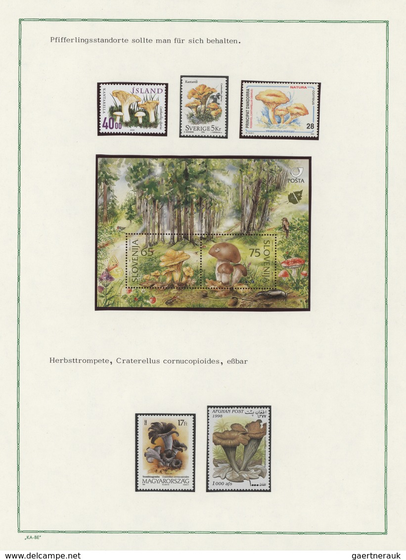 25420 Thematik: Pilze / mushrooms: 1950/2004 (approx), Europe/Overseas. Lot containing 2 interesting exhib