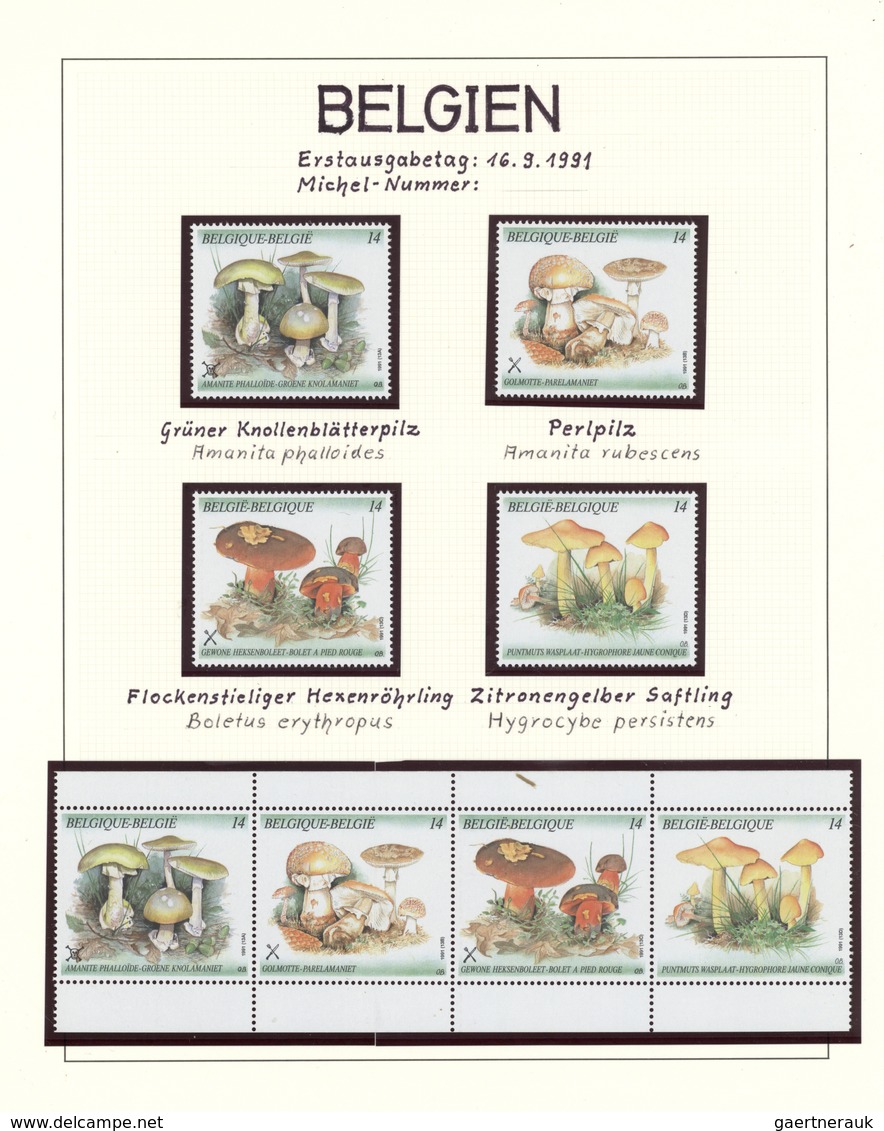 25422 Thematik: Pilze / Mushrooms: 1959/1999, Alle Welt. Sehr Umfangreiche Sammlung In 20 Ringbindern Mit - Champignons