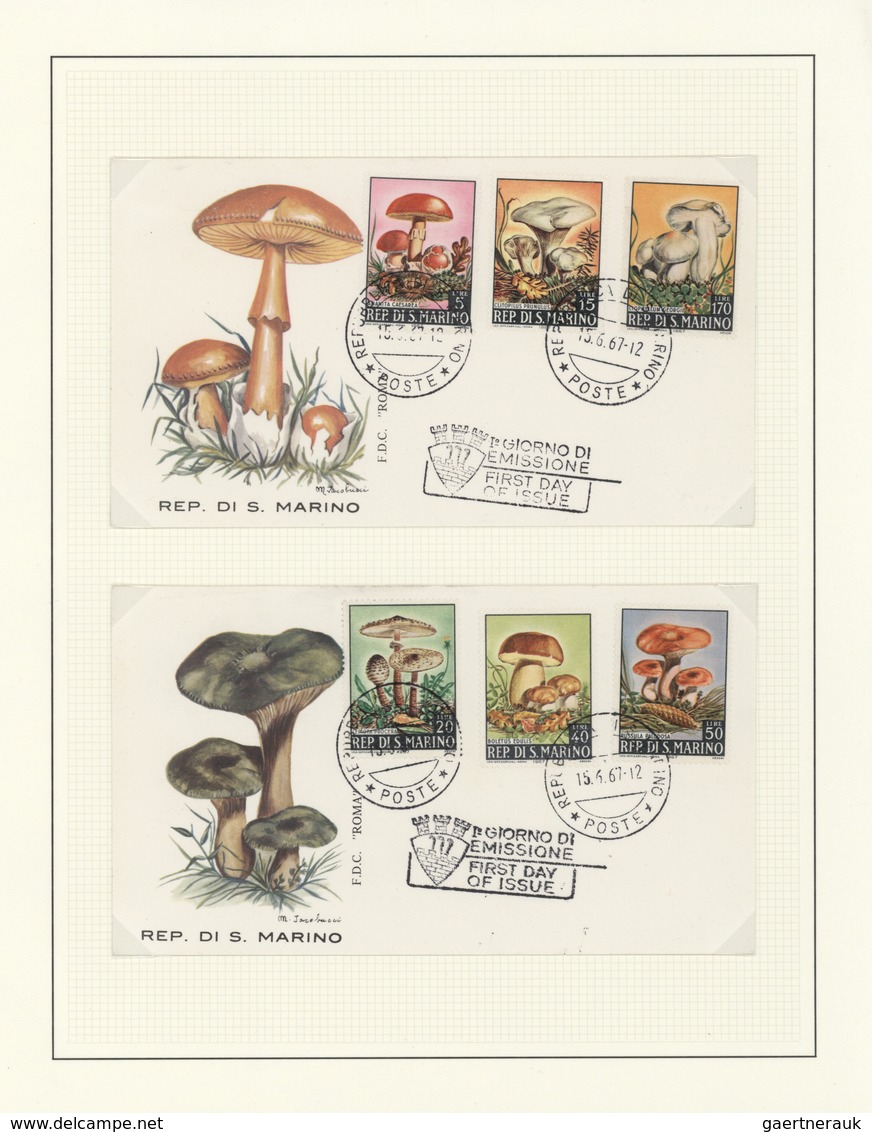 25422 Thematik: Pilze / Mushrooms: 1959/1999, Alle Welt. Sehr Umfangreiche Sammlung In 20 Ringbindern Mit - Champignons