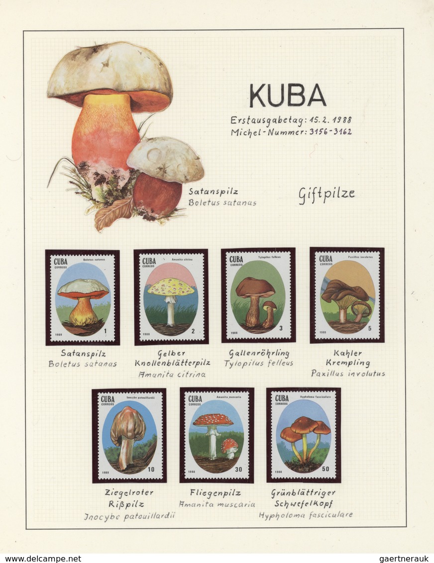 25422 Thematik: Pilze / mushrooms: 1959/1999, Alle Welt. Sehr umfangreiche Sammlung in 20 Ringbindern mit