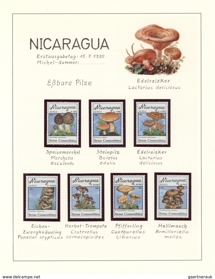 25422 Thematik: Pilze / mushrooms: 1959/1999, Alle Welt. Sehr umfangreiche Sammlung in 20 Ringbindern mit