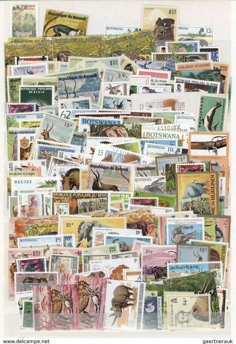 25658 Thematik: Tiere, Fauna / Animals, Fauna: 1920/1990 (ca.), WILDLIFE, Comprehensive Collection/accumul - Autres & Non Classés