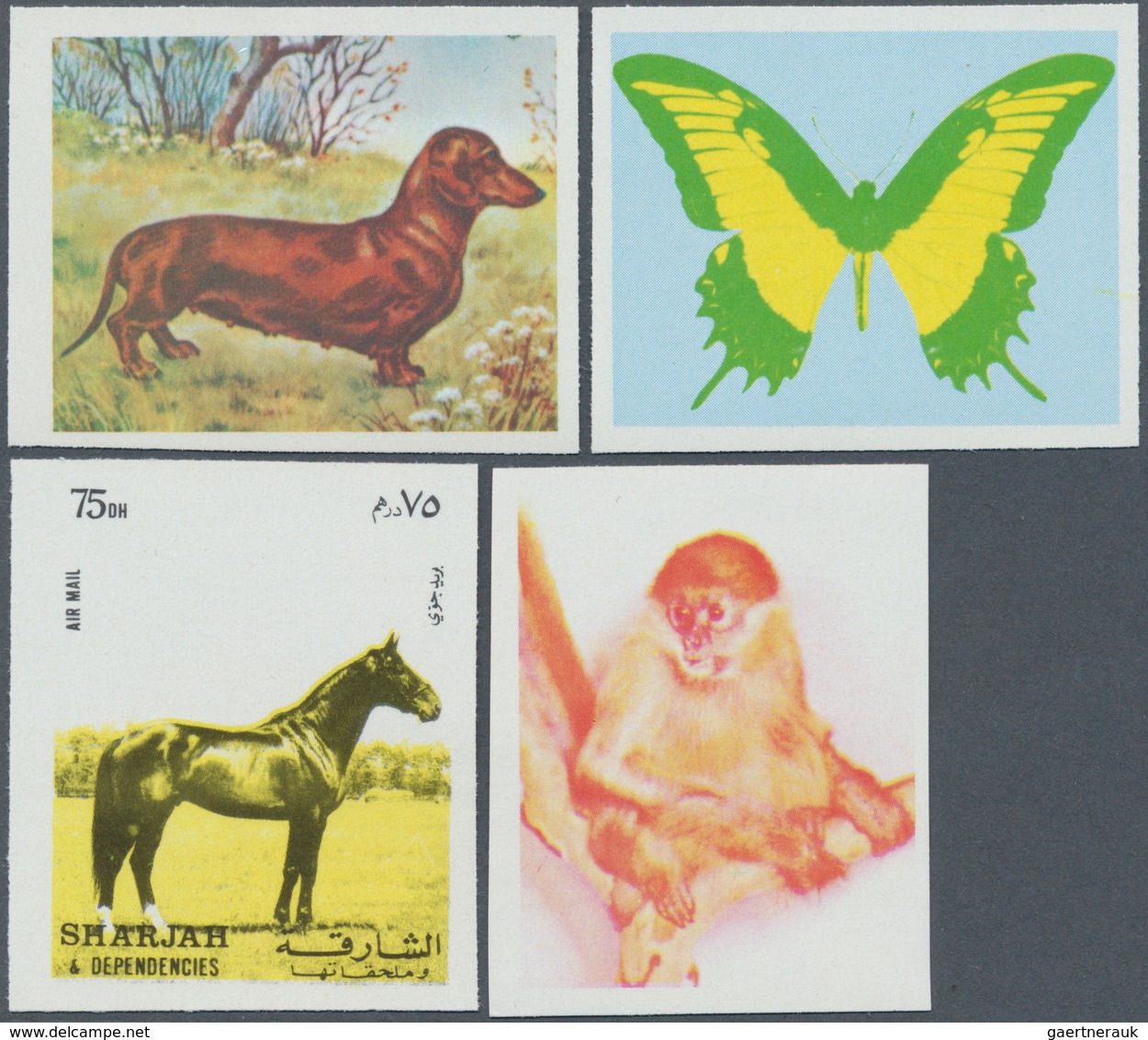 25662 Thematik: Tiere, Fauna / Animals, Fauna: 1972, Sharjah, Collection Of 157 Different Imperforate Prog - Autres & Non Classés