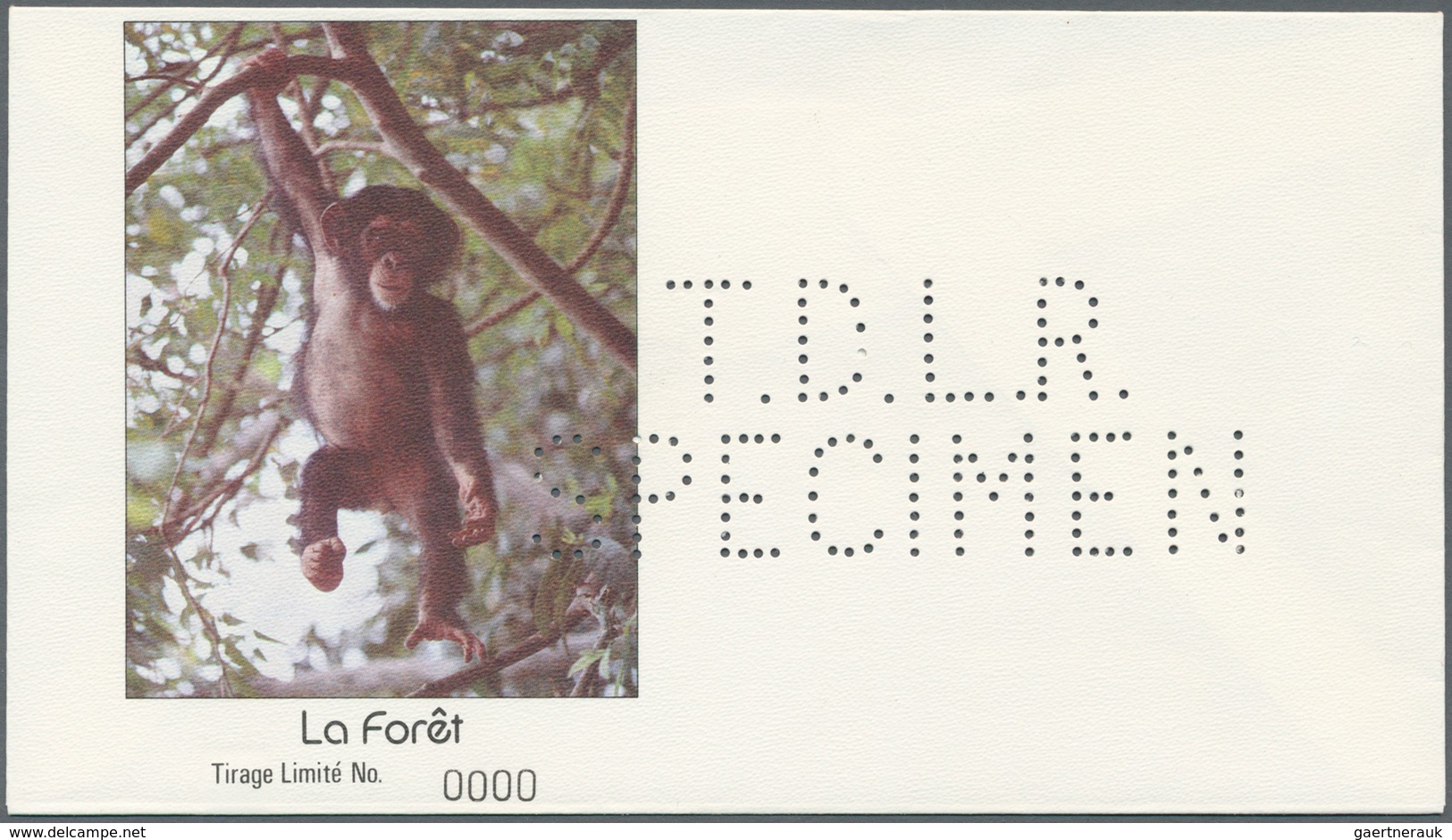 25683 Thematik: Tiere-Affen / Animals-monkeys: 1960/2000 (approx), Various Countries. Accumulation Of 37 I - Singes