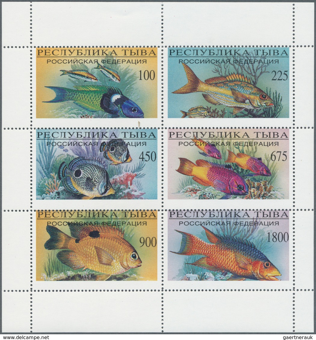25700 Thematik: Tiere-Fische / Animals-fishes: 1960/2000 (approx), Various Countries. Accumulation Of 76 I - Poissons
