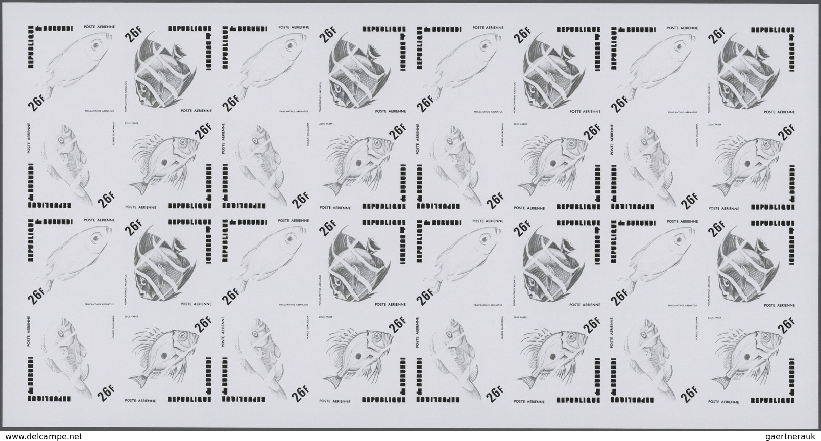 25704 Thematik: Tiere-Fische / Animals-fishes: 1974, Burundi. Progressive Proofs Set Of Sheets For The Air - Pesci