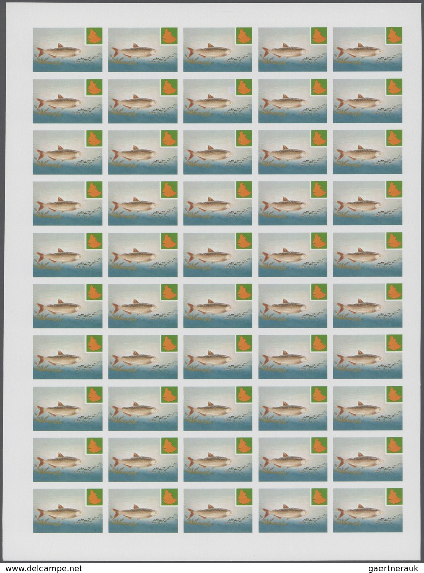 25705 Thematik: Tiere-Fische / Animals-fishes: 1985, Ethiopia. Progressive Proofs Set Of Sheets For The Co - Poissons
