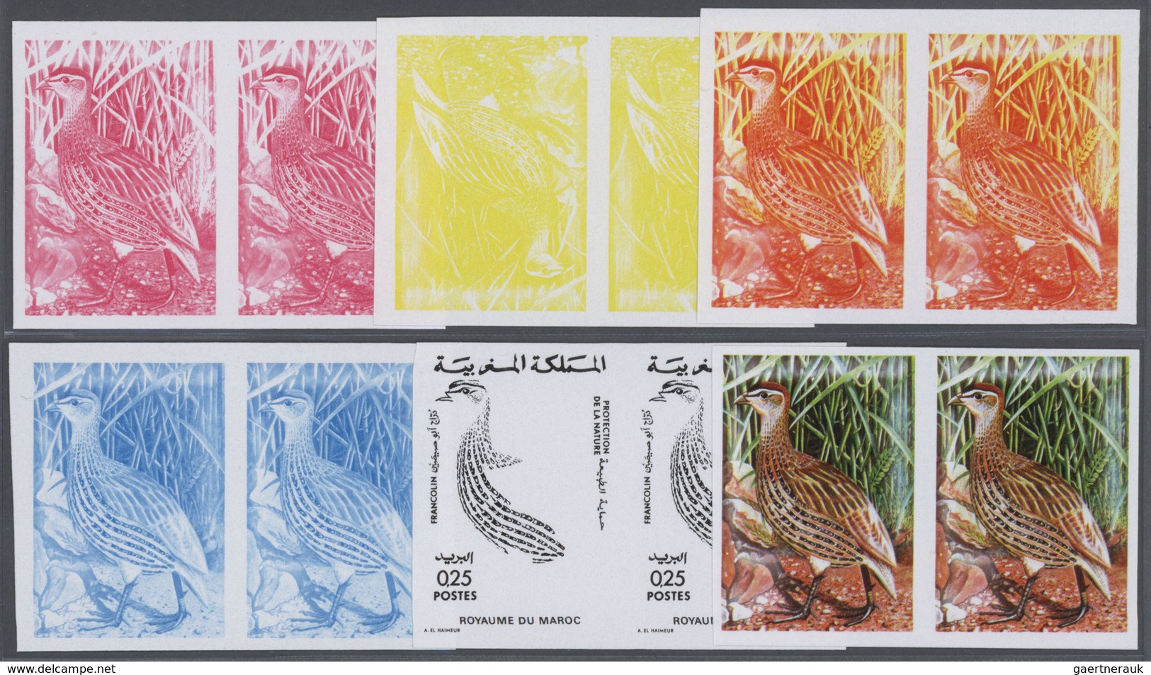 25707 Thematik: Tiere-Hühnervögel / Animals-gallinaceus Birds: 1974, Morocco. Lot Containing Progressive P - Gallinacées & Faisans