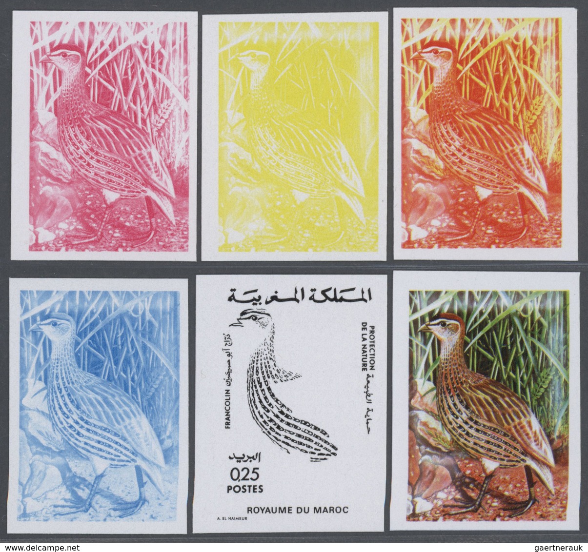 25707 Thematik: Tiere-Hühnervögel / Animals-gallinaceus Birds: 1974, Morocco. Lot Containing Progressive P - Gallinacées & Faisans