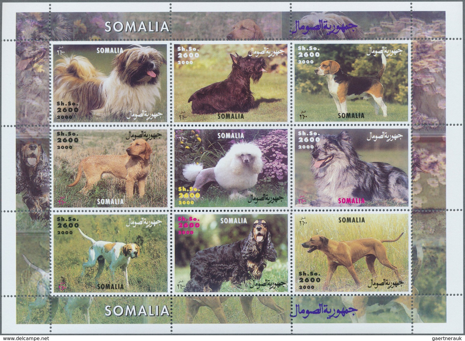 25710 Thematik: Tiere-Hunde / Animals-dogs: 1970/2000 (ca.), Assortment Of 39 Positions Incl. Specialities - Chiens