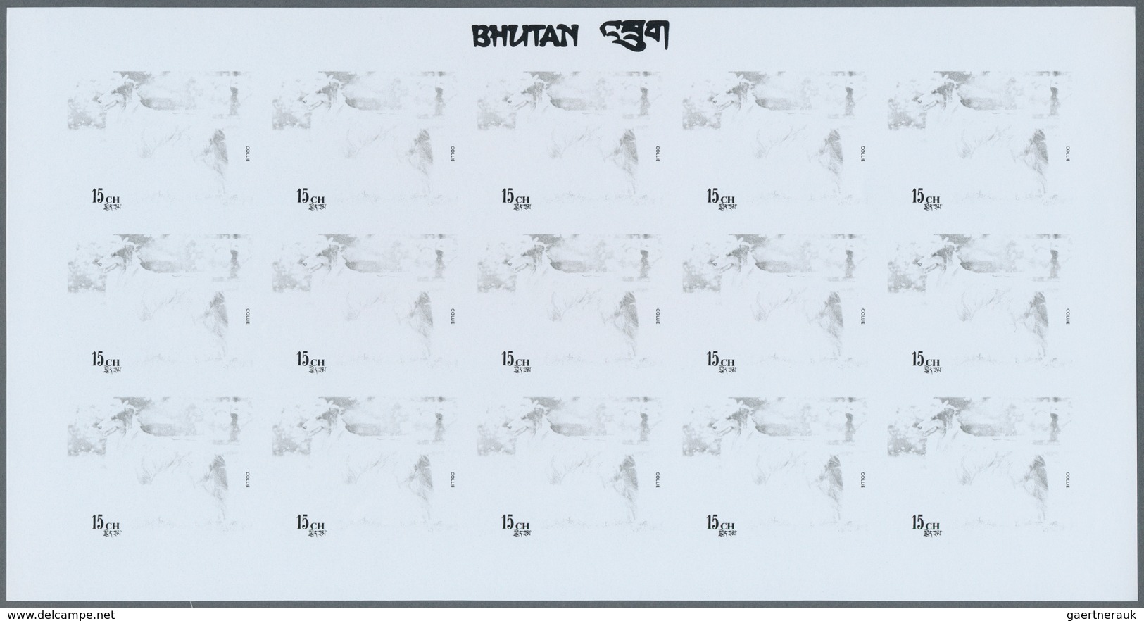 25712 Thematik: Tiere-Hunde / Animals-dogs: 1973, Bhutan. Progressive Proofs Set Of Sheets For The Complet - Honden