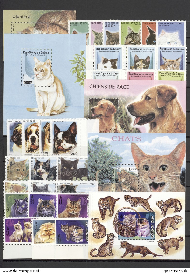 25713 Thematik: Tiere-Hunde / Animals-dogs: 1984/2012 (approx), Various Countries. Stock Book Containing T - Chiens