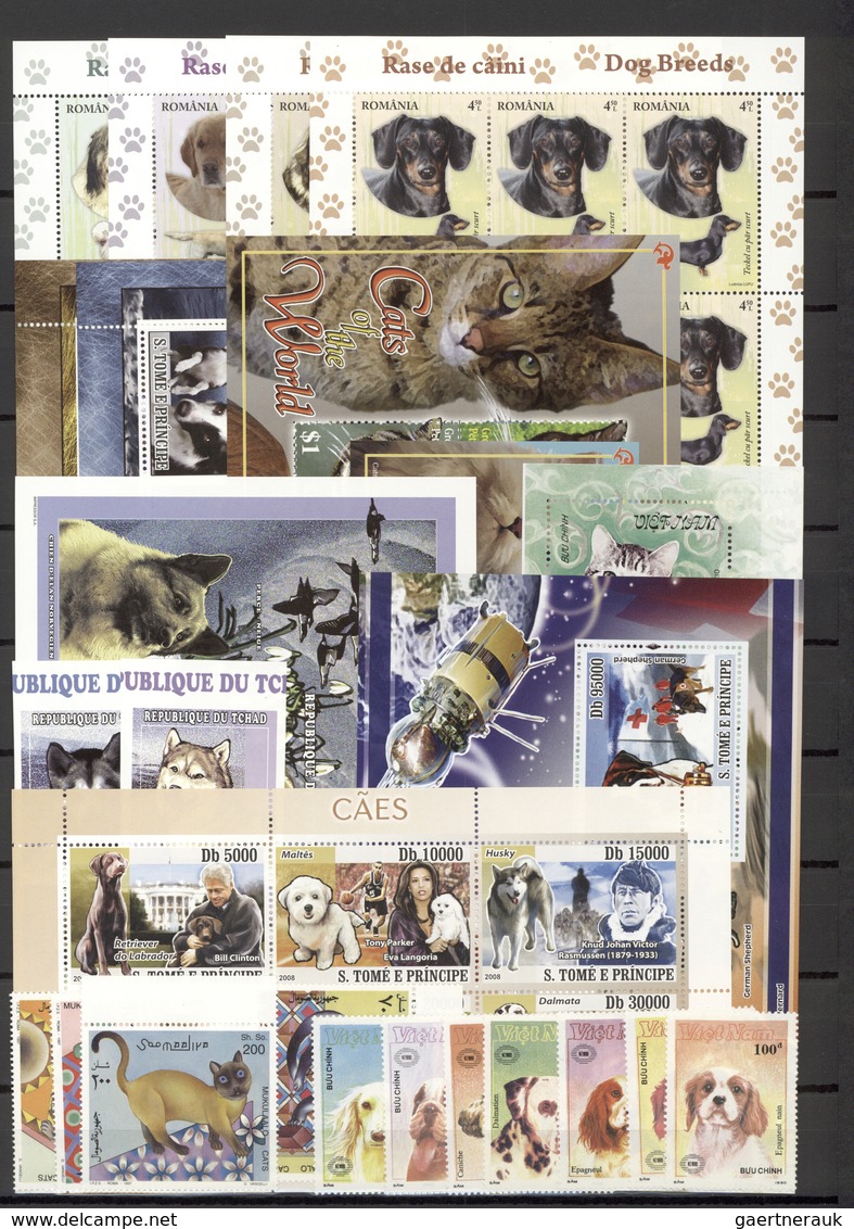 25713 Thematik: Tiere-Hunde / Animals-dogs: 1984/2012 (approx), Various Countries. Stock Book Containing T - Chiens