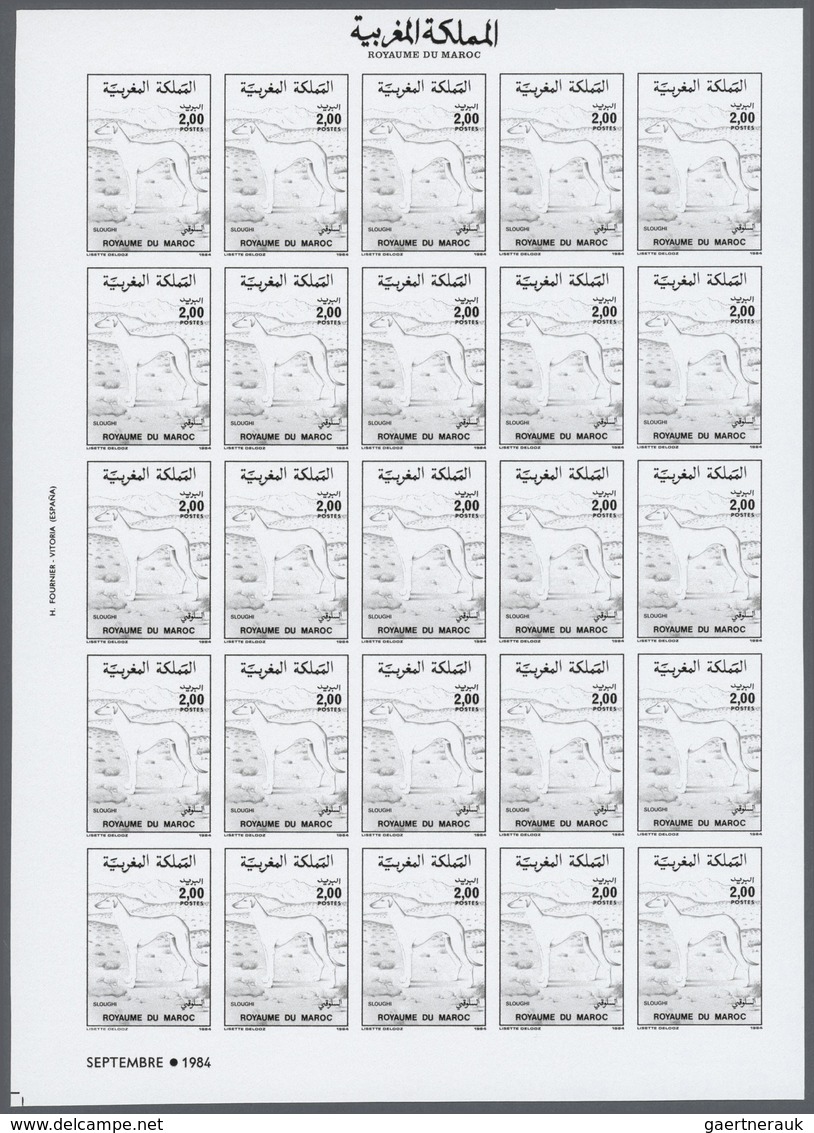 25714 Thematik: Tiere-Hunde / animals-dogs: 1984, Morocco. Progressive proofs set of sheets for the issue