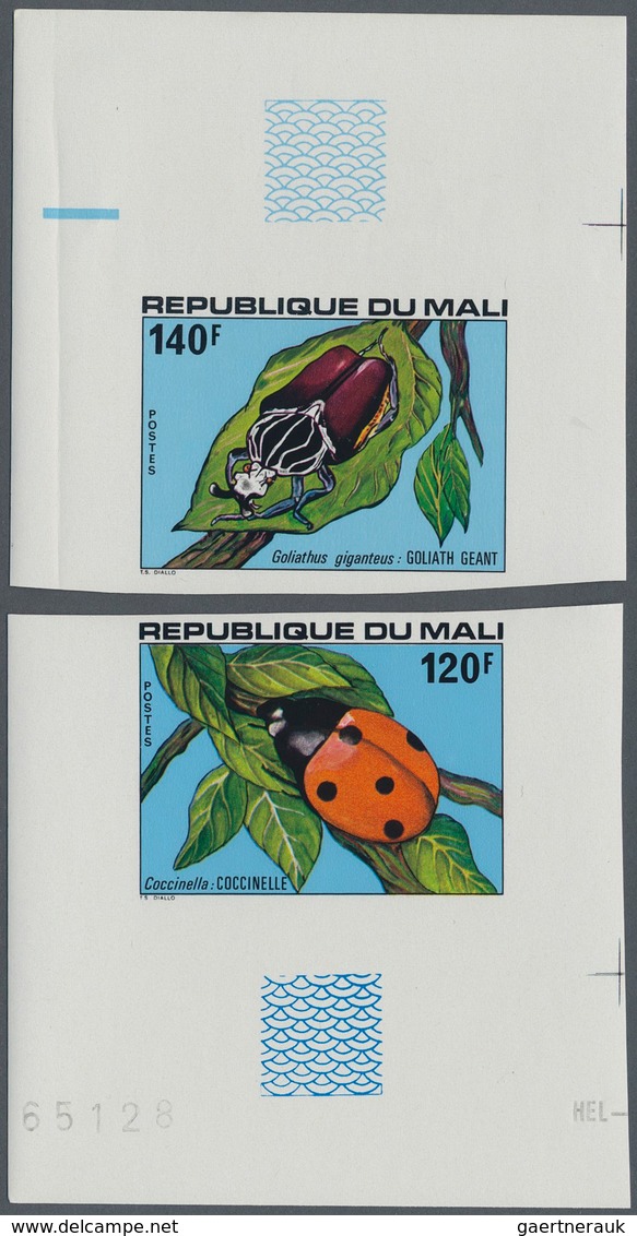 25719 Thematik: Tiere-Insekten / Animals-insects: 1960s/1990s (approx), Various Countries. Accumulation Of - Autres & Non Classés