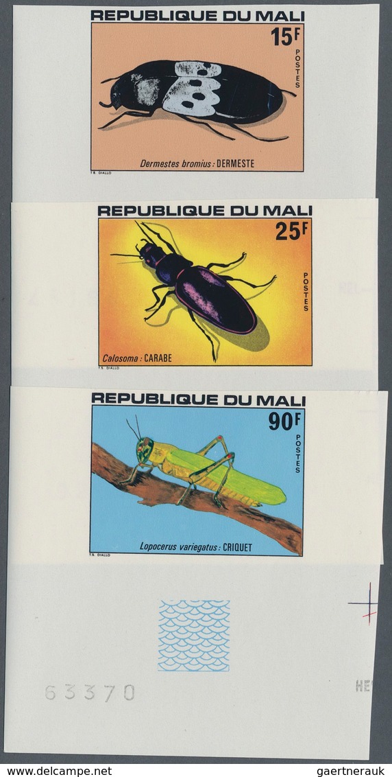 25719 Thematik: Tiere-Insekten / Animals-insects: 1960s/1990s (approx), Various Countries. Accumulation Of - Autres & Non Classés