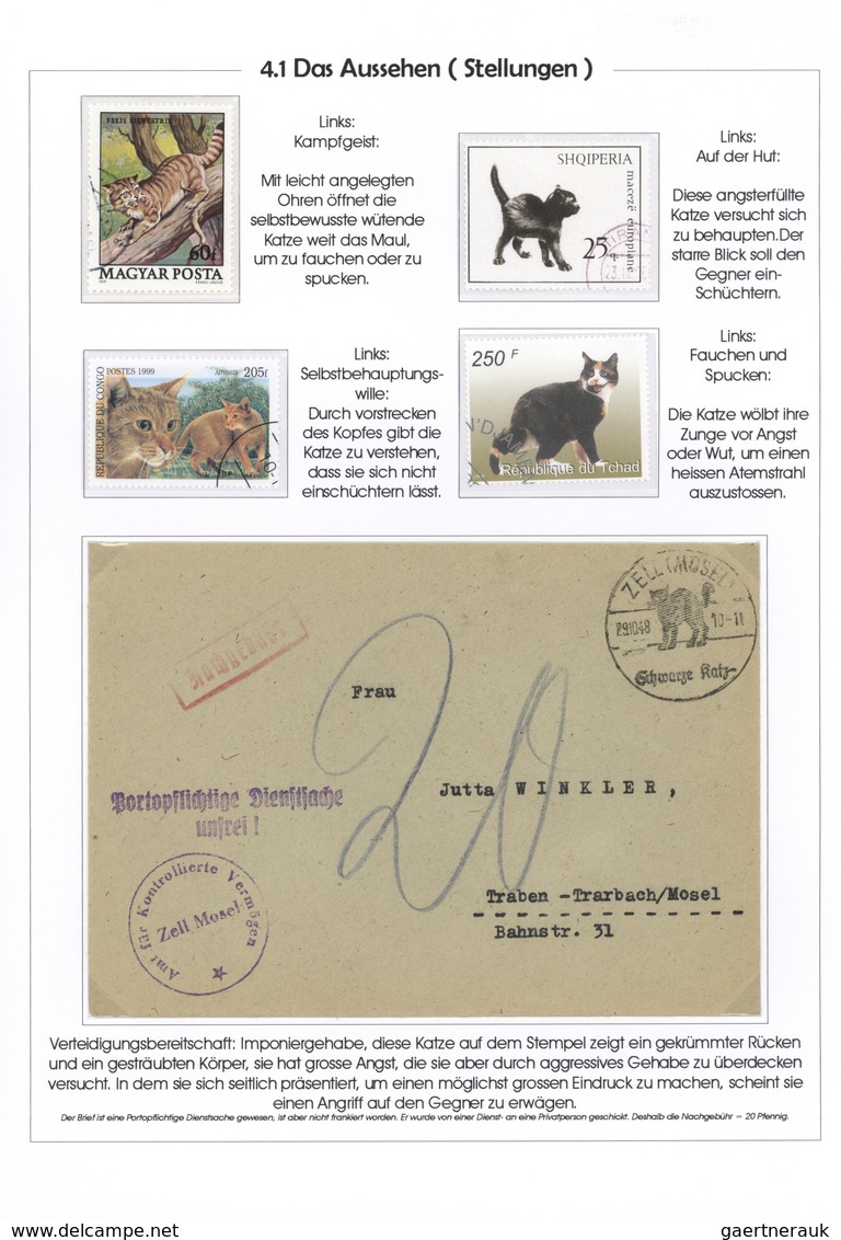 25724 Thematik: Tiere-Katzen / Animals-cats: 1811/2001 (approx), All World. Pretty Collection THE MYSTERY - Chats Domestiques