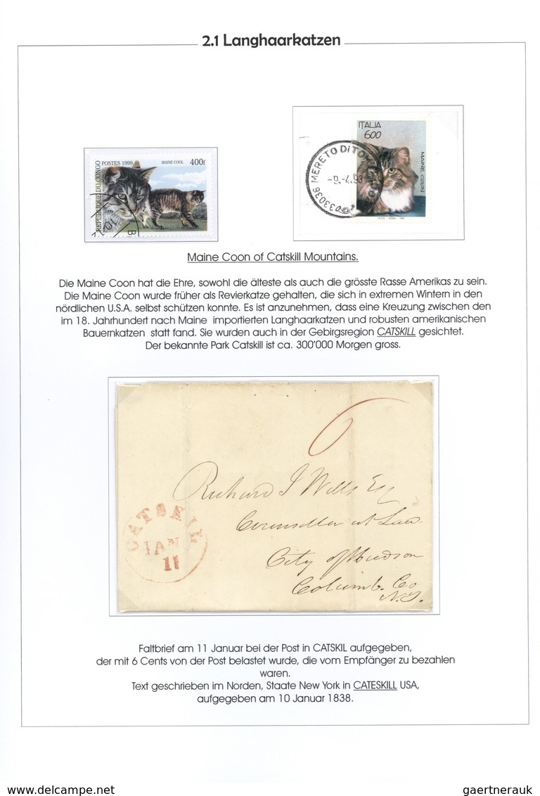 25724 Thematik: Tiere-Katzen / animals-cats: 1811/2001 (approx), All World. Pretty collection THE MYSTERY