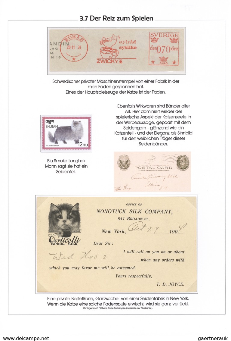 25724 Thematik: Tiere-Katzen / animals-cats: 1811/2001 (approx), All World. Pretty collection THE MYSTERY