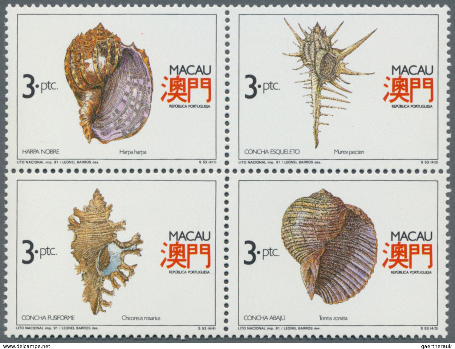 25740 Thematik: Tiere-Meerestiere-Muscheln / Animals-sea Animals-shells: 1960/2000 (approx), Various Count - Coquillages