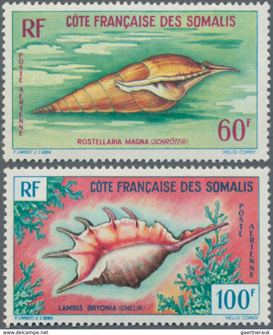 25740 Thematik: Tiere-Meerestiere-Muscheln / Animals-sea Animals-shells: 1960/2000 (approx), Various Count - Coquillages