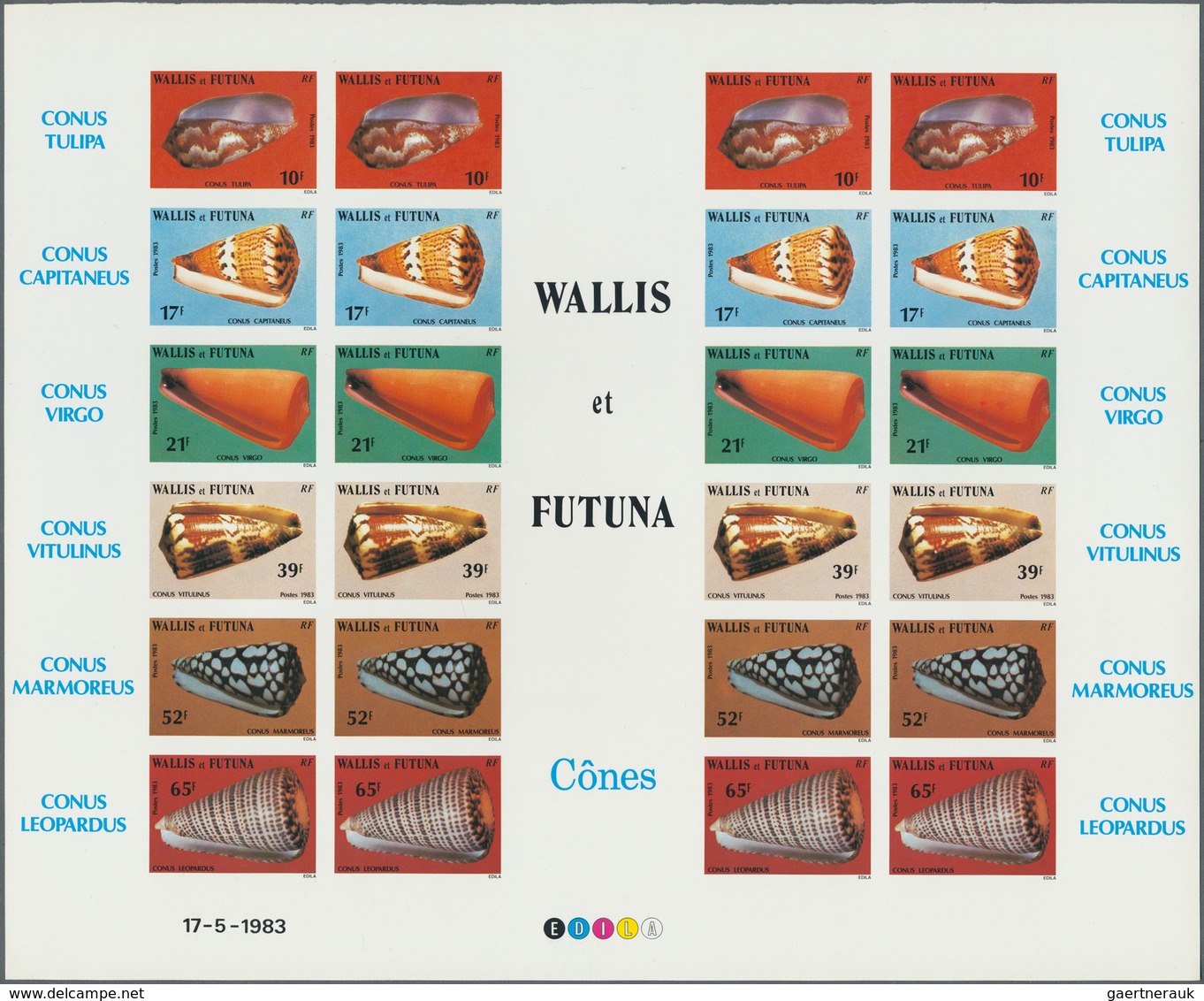 25740 Thematik: Tiere-Meerestiere-Muscheln / Animals-sea Animals-shells: 1960/2000 (approx), Various Count - Coquillages