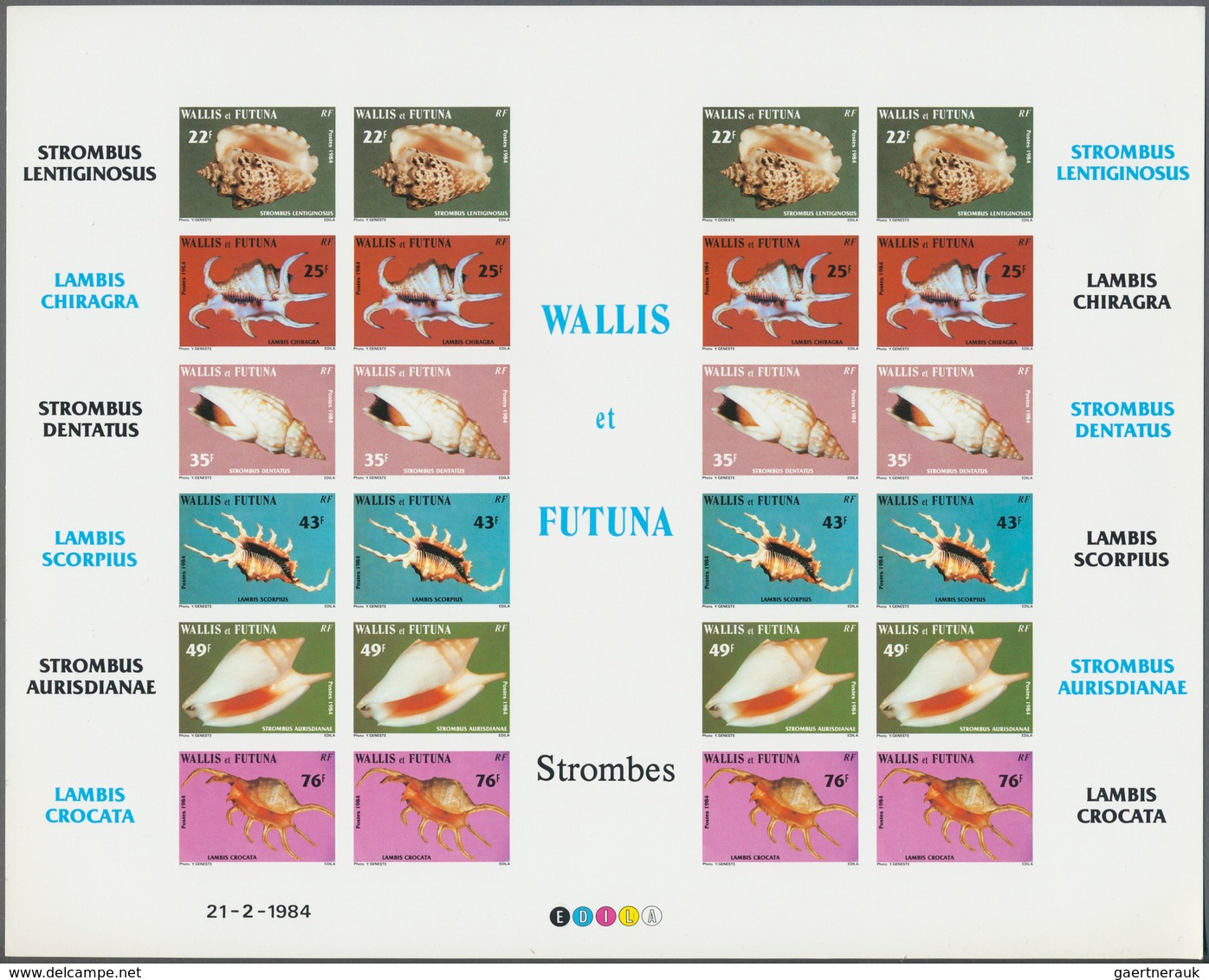 25741 Thematik: Tiere-Meerestiere-Muscheln / Animals-sea Animals-shells: 1960/2000 (approx), Various Count - Coquillages