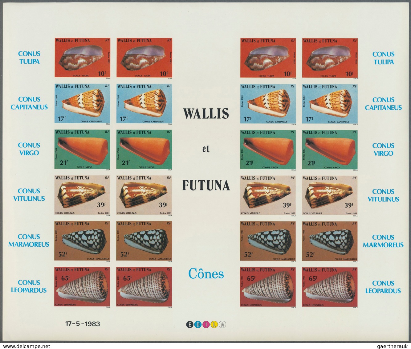 25741 Thematik: Tiere-Meerestiere-Muscheln / Animals-sea Animals-shells: 1960/2000 (approx), Various Count - Coquillages