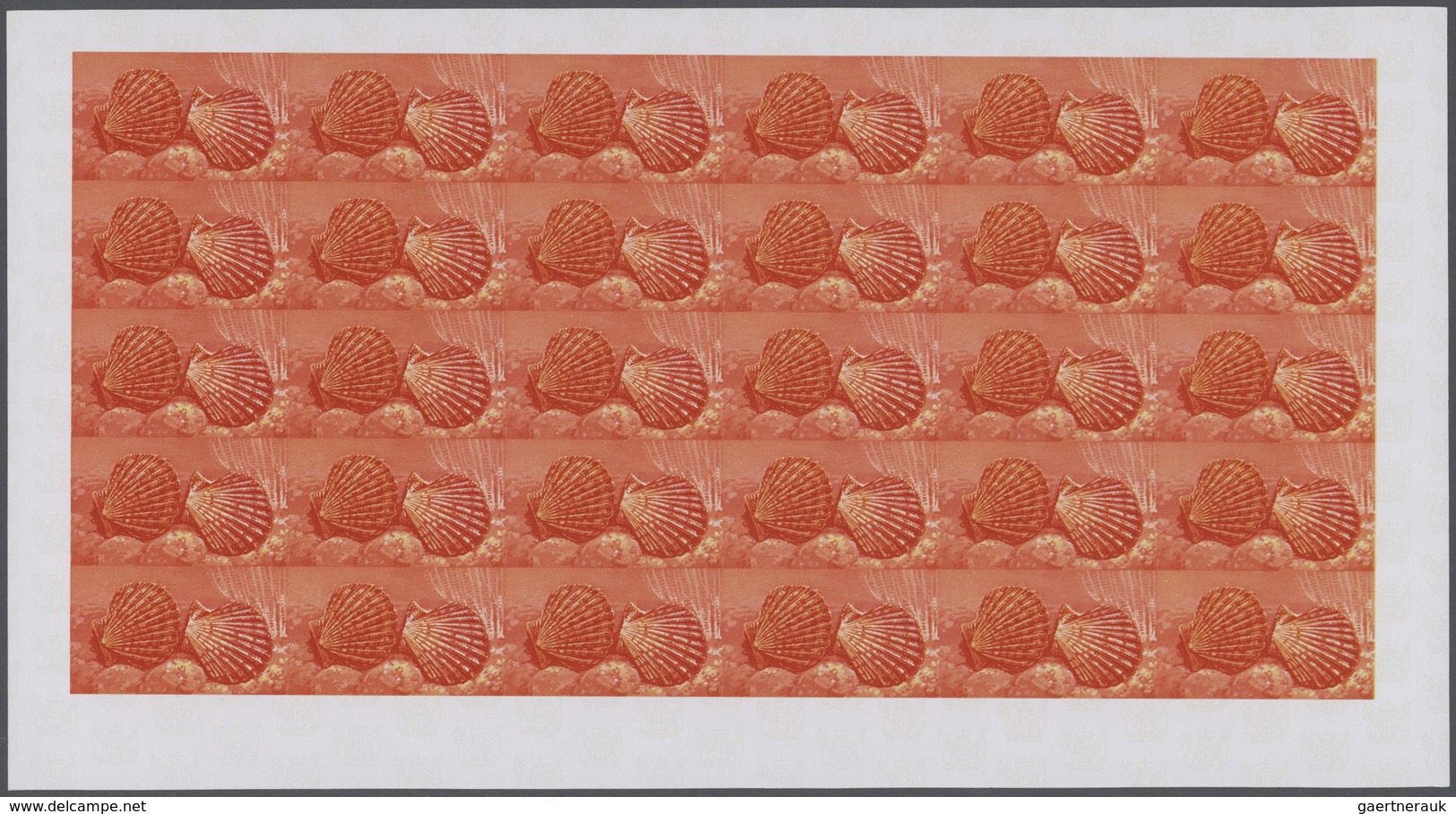 25744 Thematik: Tiere-Meerestiere-Muscheln / Animals-sea Animals-shells: 1974, Cook Islands. Progressive P - Coquillages