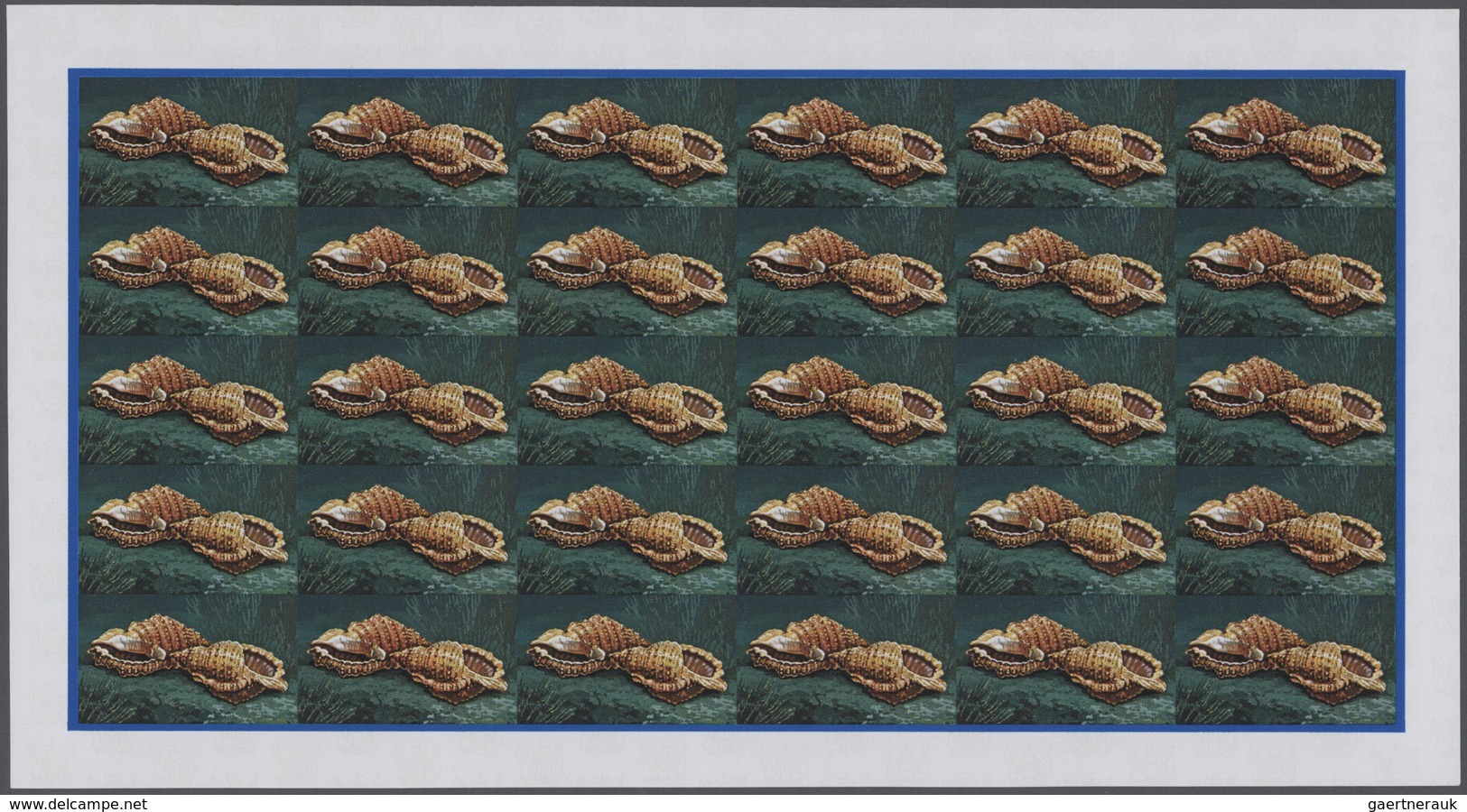 25749 Thematik: Tiere-Meerestiere-Muscheln / Animals-sea Animals-shells: 1974, Cook Islands. Progressive P - Coquillages