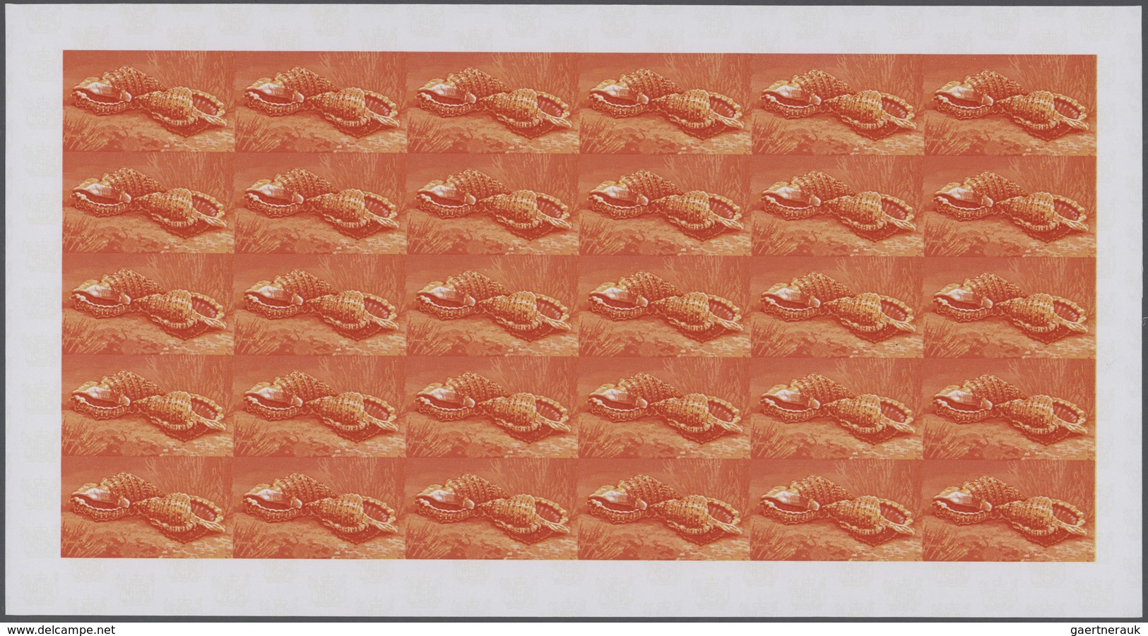 25749 Thematik: Tiere-Meerestiere-Muscheln / Animals-sea Animals-shells: 1974, Cook Islands. Progressive P - Coquillages