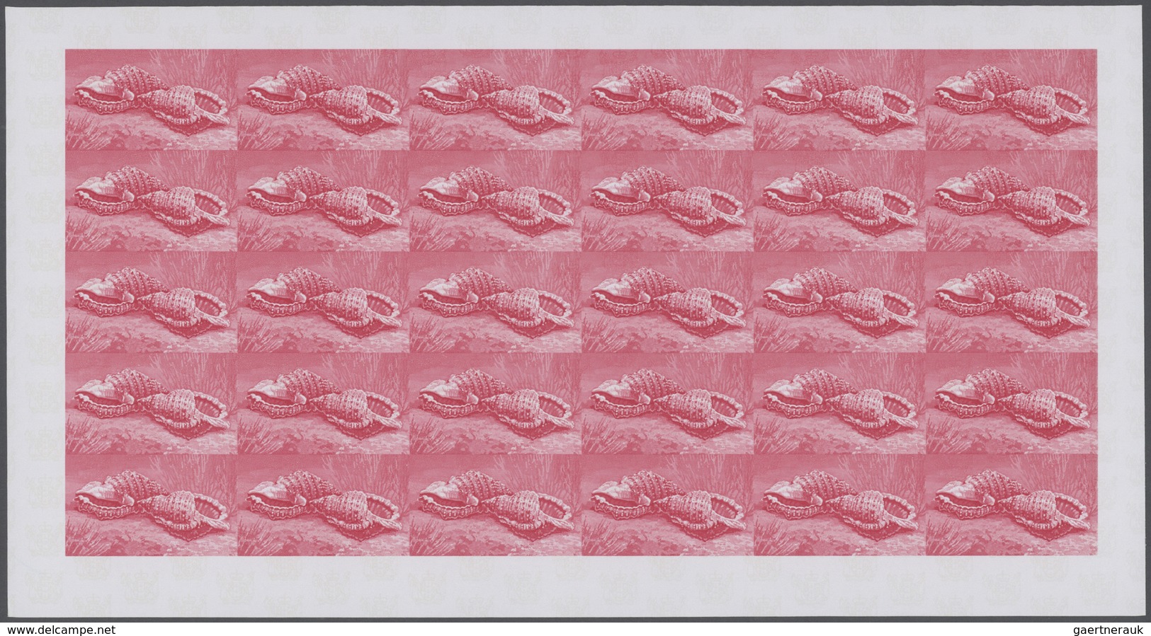 25749 Thematik: Tiere-Meerestiere-Muscheln / Animals-sea Animals-shells: 1974, Cook Islands. Progressive P - Coquillages