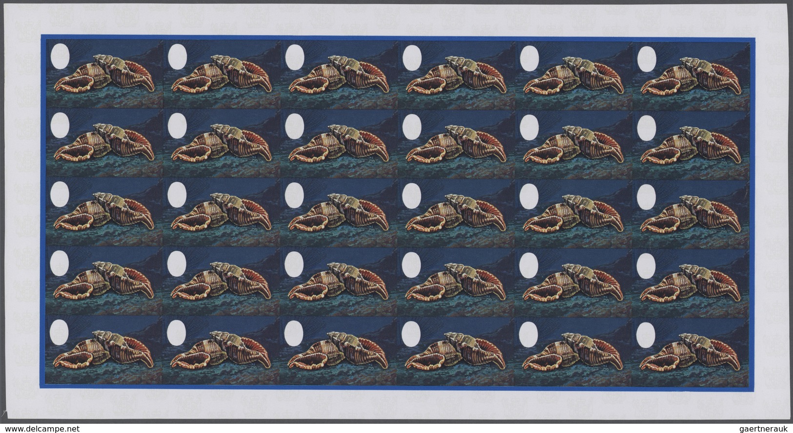 25750 Thematik: Tiere-Meerestiere-Muscheln / Animals-sea Animals-shells: 1974, Cook Islands. Progressive P - Coquillages