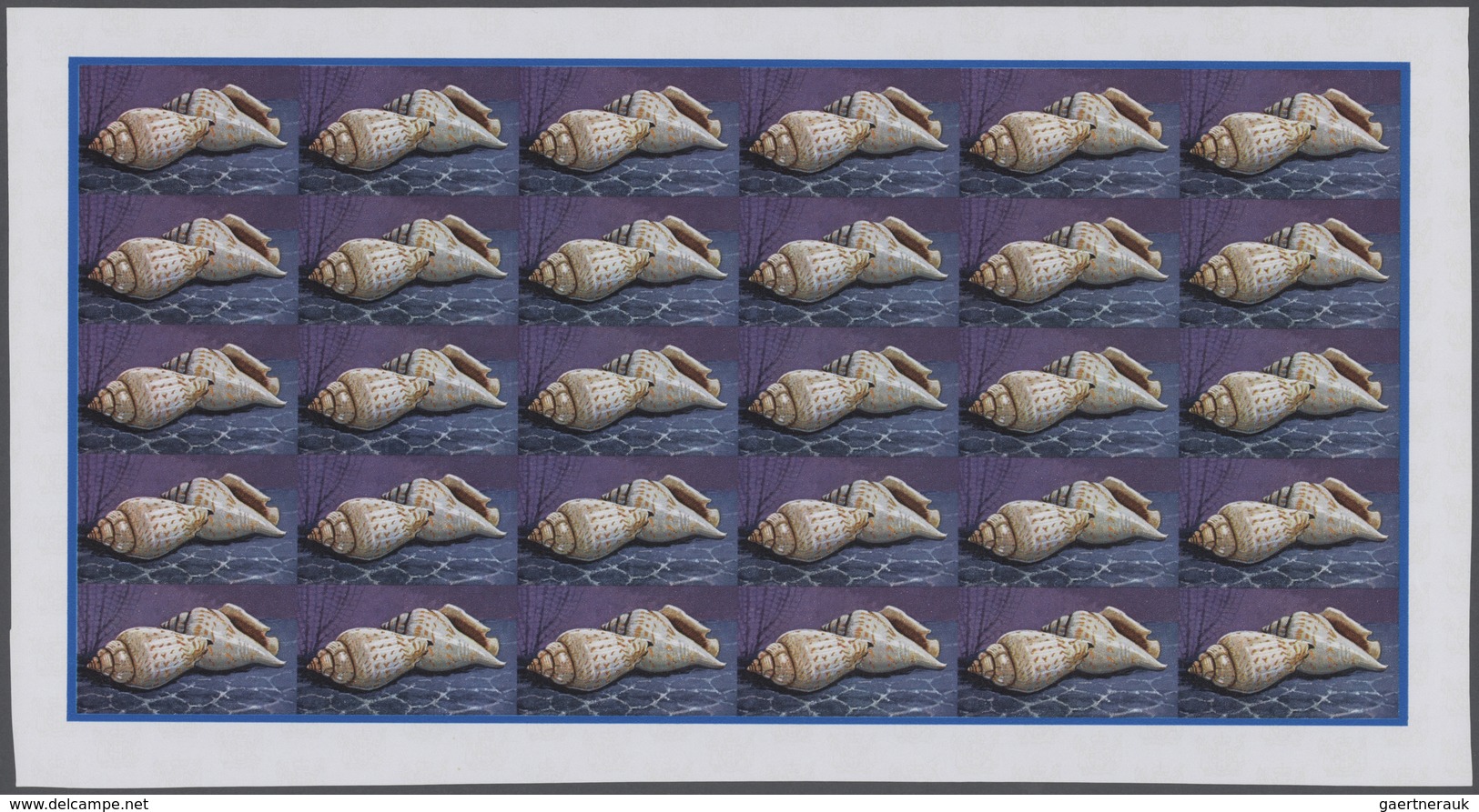 25751 Thematik: Tiere-Meerestiere-Muscheln / Animals-sea Animals-shells: 1974, Cook Islands. Progressive P - Coquillages